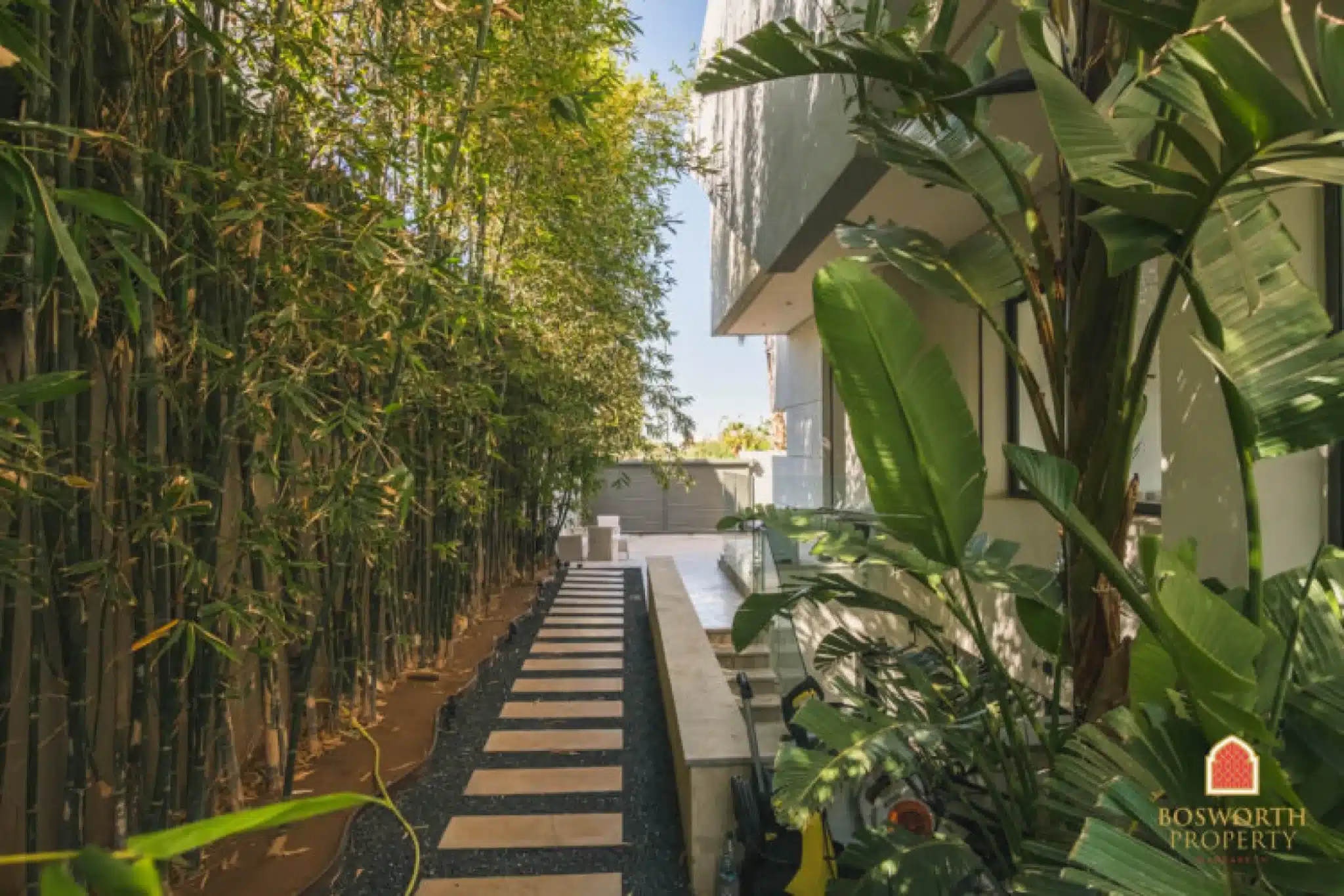 298f6b36-589e-4837-9e6c-c47801d4b6ba