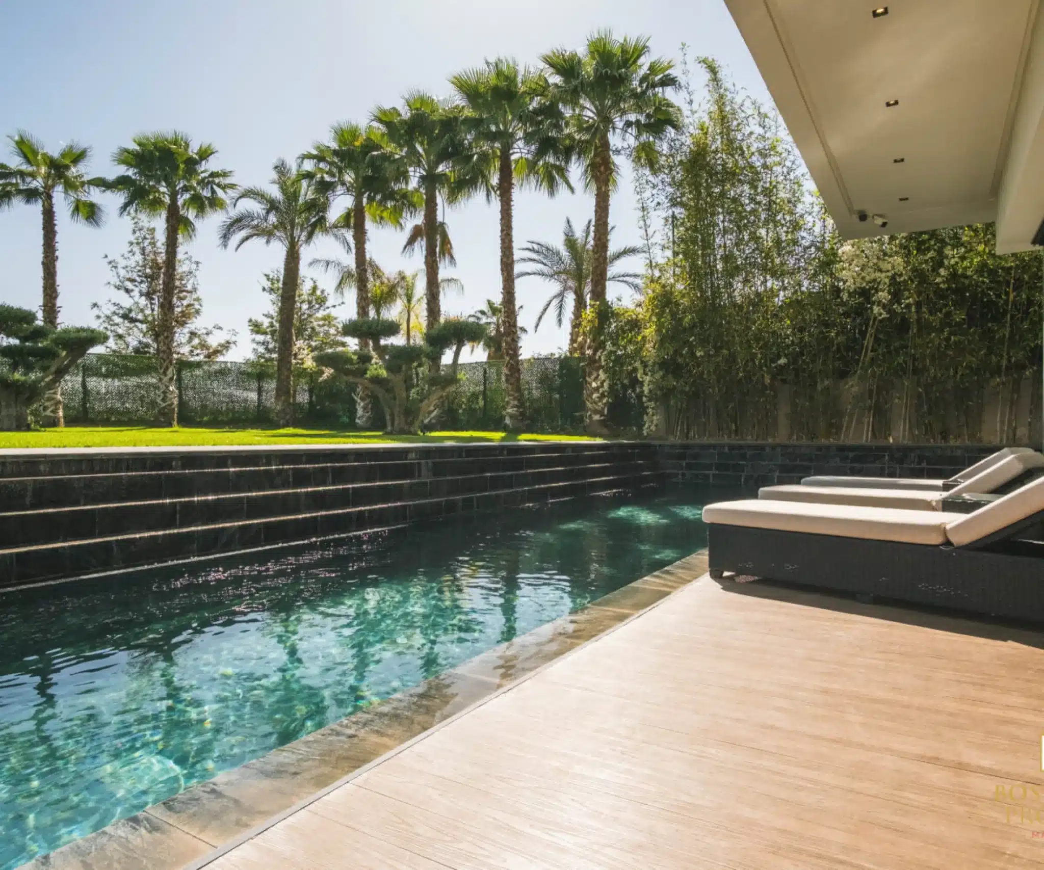 54cd06a7-fb39-46e8-a2d7-85e9a02542ab