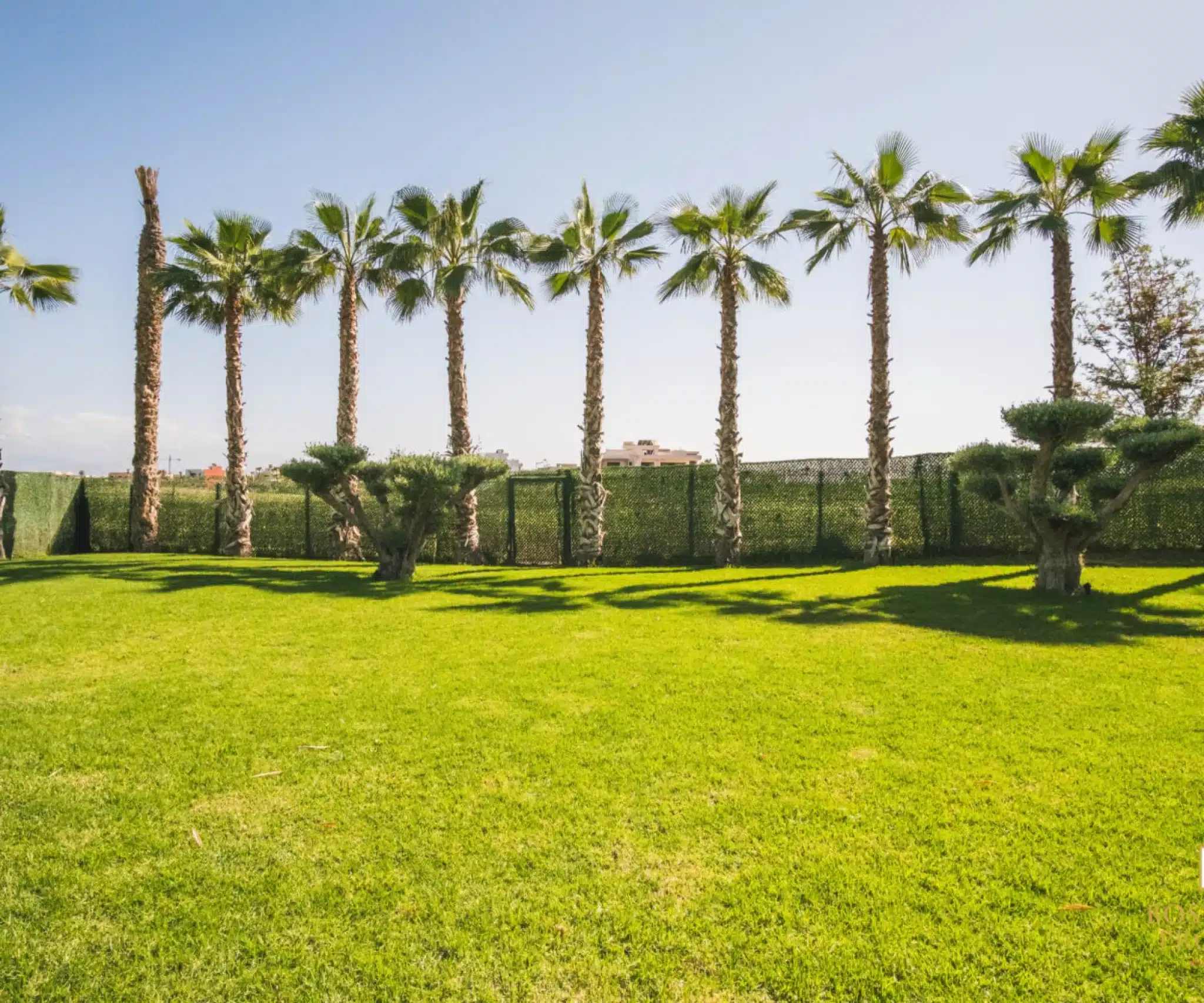 b3a158db-d3e7-46a3-9e2b-50113801f861